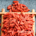 Organische rode goji berry dieet gewichtsverlies